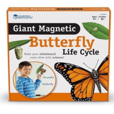 Toys Playwell  | Giant Magnetic Butterfly Life Cycle