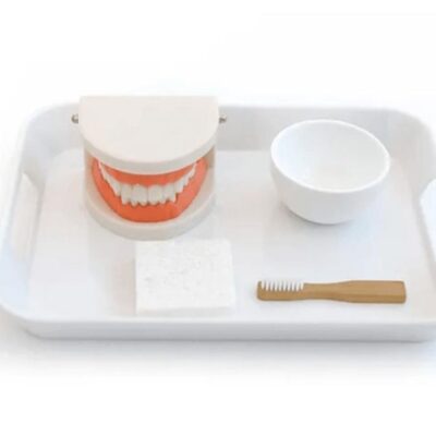 Montessori Materials MVITA  | Brushing Teeth Activity Set