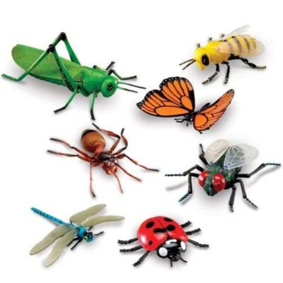 Toys Playwell  | Jumbo Insects