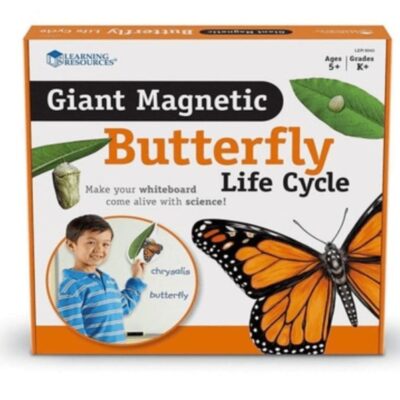 Montessori Materials Playwell  | Giant Magnetic Butterfly Life Cycle